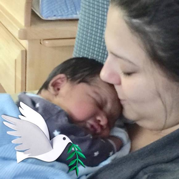 Meet your Posher, Rosa - Picture 1 of 1